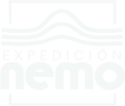 logo_nemo_blanco